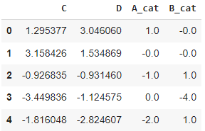 dummy dataset